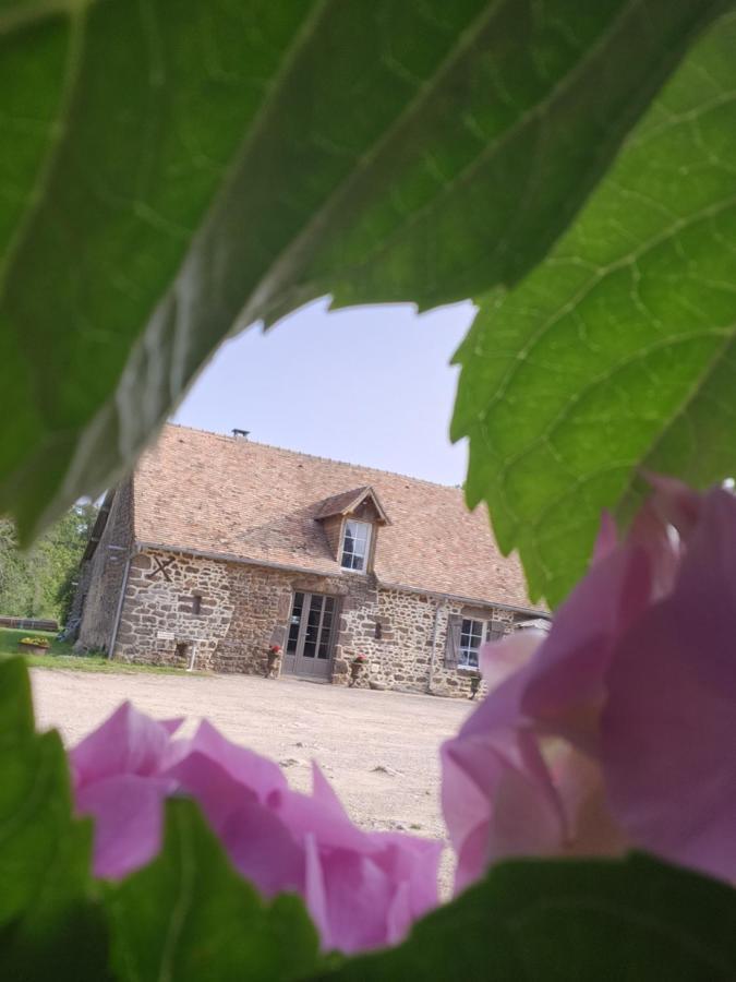 Les Naturelles Saint-Aubin-de-Locquenay Exteriör bild